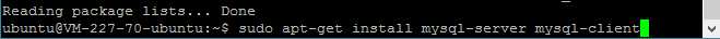 nodejs ubuntu